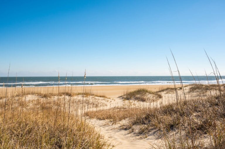 Beach and sea oats at Avon on Hatteras Island